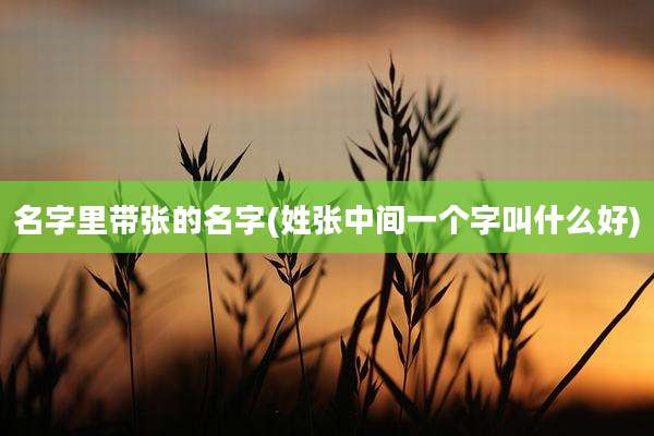 名字里带张的名字(姓张中间一个字叫什么好)