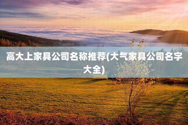 高大上家具公司名称推荐(大气家具公司名字大全)