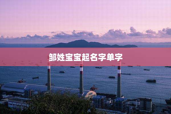 邹姓宝宝起名字单字