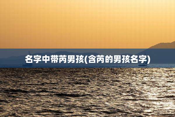 名字中带芮男孩(含芮的男孩名字)