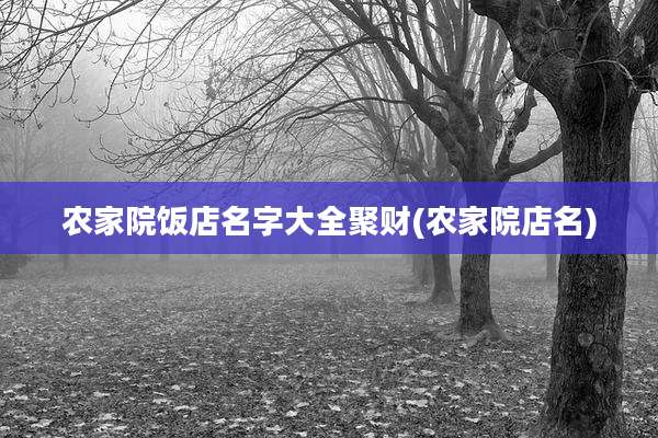 农家院饭店名字大全聚财(农家院店名)