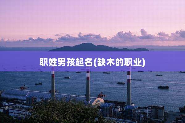 职姓男孩起名(缺木的职业)