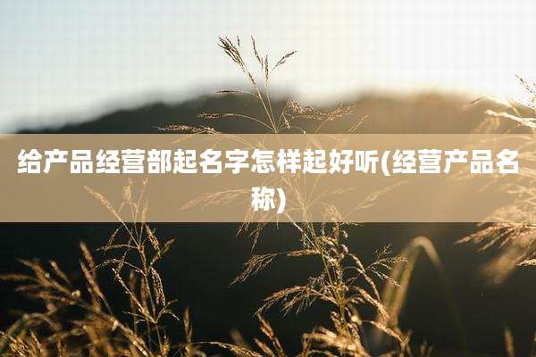 给产品经营部起名字怎样起好听(经营产品名称)