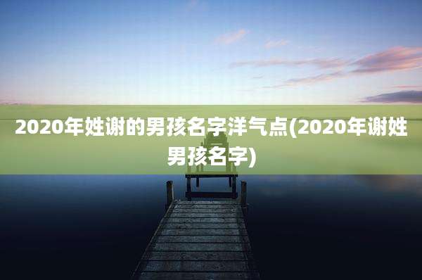 2020年姓谢的男孩名字洋气点(2020年谢姓男孩名字)