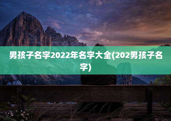 男孩子名字2022年名字大全(202男孩子名字)