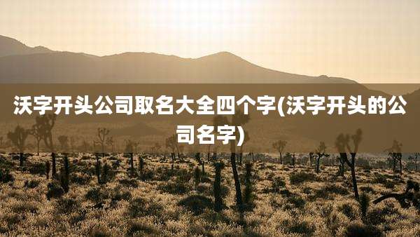 沃字开头公司取名大全四个字(沃字开头的公司名字)