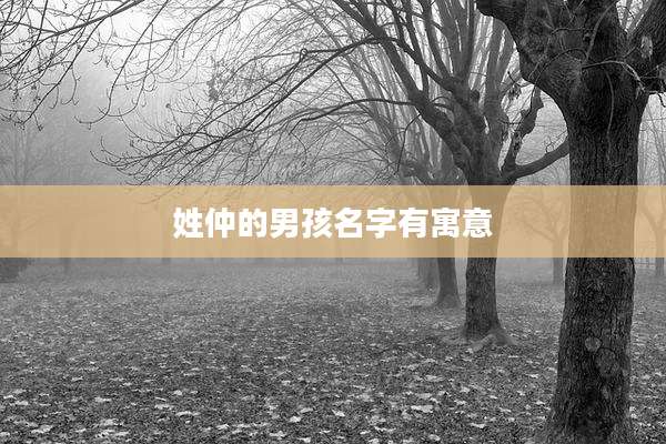 姓仲的男孩名字有寓意