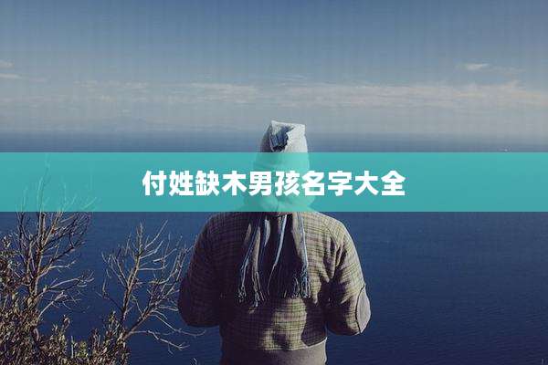 付姓缺木男孩名字大全