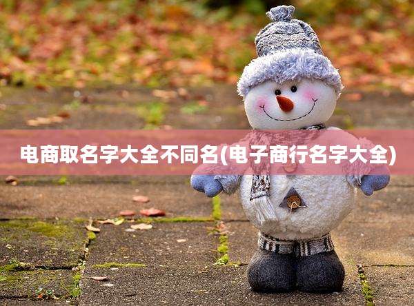 电商取名字大全不同名(电子商行名字大全)