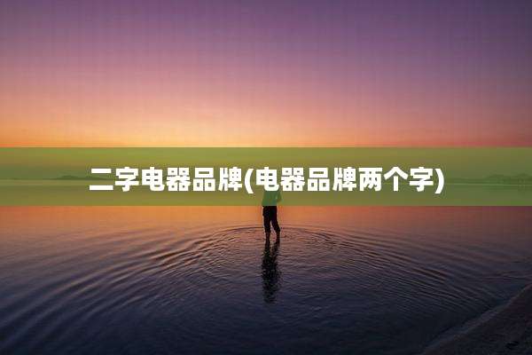 二字电器品牌(电器品牌两个字)