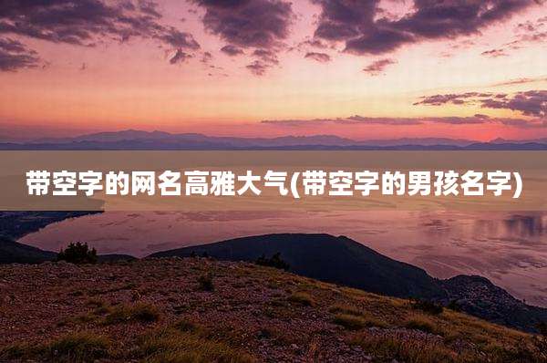 带空字的网名高雅大气(带空字的男孩名字)