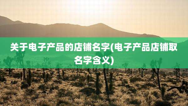 关于电子产品的店铺名字(电子产品店铺取名字含义)