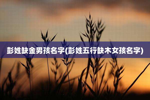彭姓缺金男孩名字(彭姓五行缺木女孩名字)
