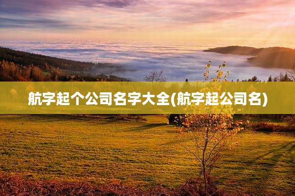 航字起个公司名字大全(航字起公司名)
