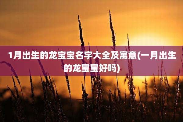 1月出生的龙宝宝名字大全及寓意(一月出生的龙宝宝好吗)