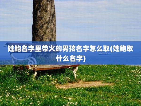 姓鲍名字里带火的男孩名字怎么取(姓鲍取什么名字)