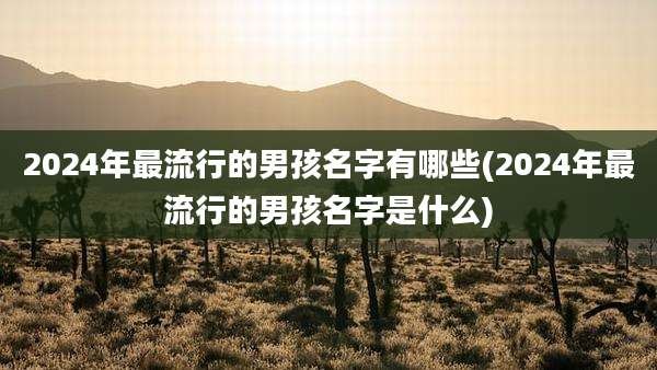 2024年最流行的男孩名字有哪些(2024年最流行的男孩名字是什么)