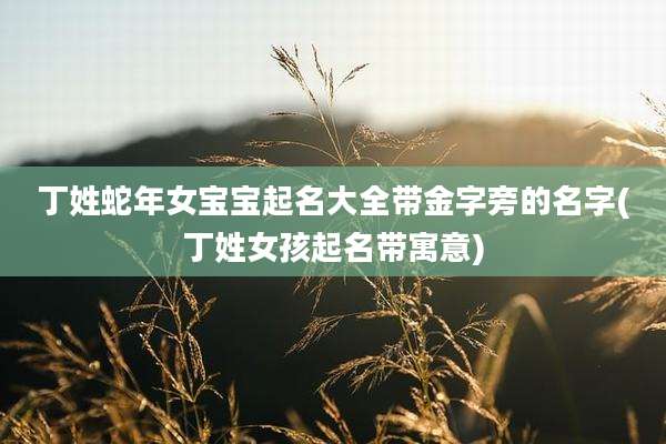 丁姓蛇年女宝宝起名大全带金字旁的名字(丁姓女孩起名带寓意)