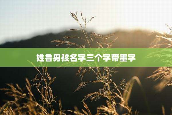 姓鲁男孩名字三个字带墨字