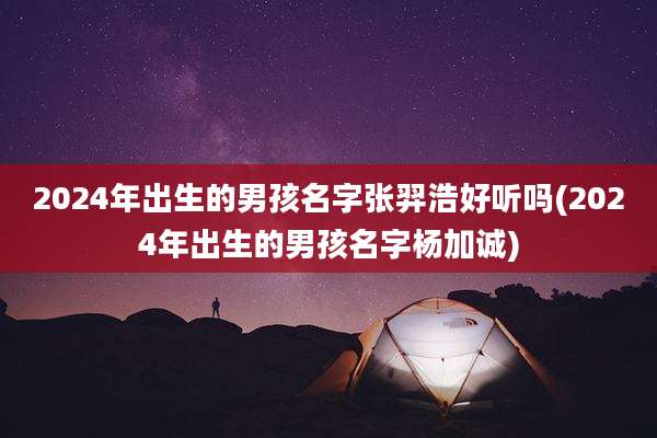 2024年出生的男孩名字张羿浩好听吗(2024年出生的男孩名字杨加诚)