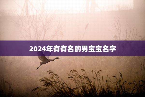 2024年有有名的男宝宝名字