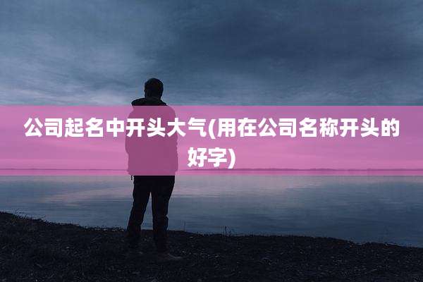 公司起名中开头大气(用在公司名称开头的好字)