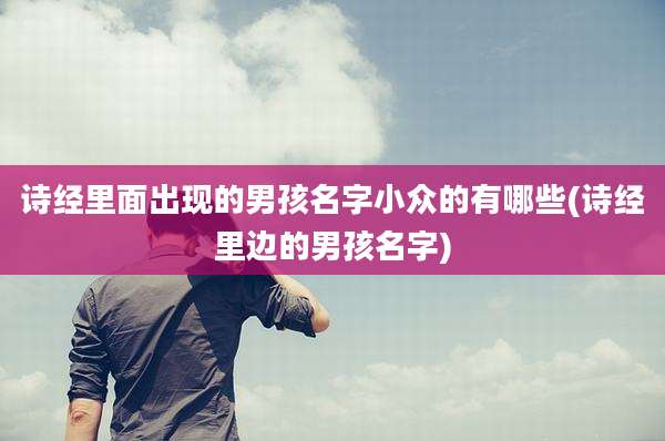 诗经里面出现的男孩名字小众的有哪些(诗经里边的男孩名字)