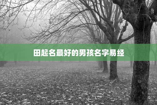 田起名最好的男孩名字易经