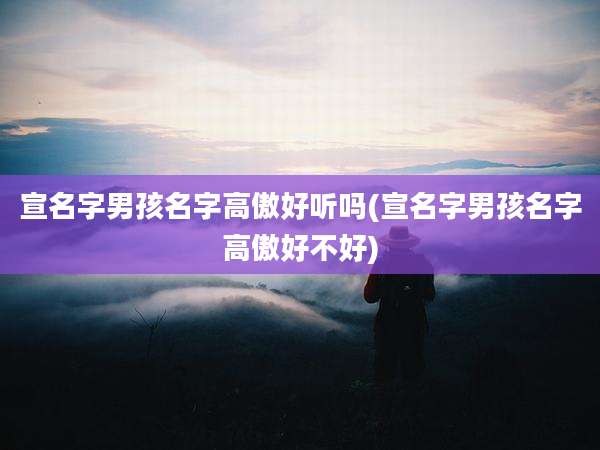 宣名字男孩名字高傲好听吗(宣名字男孩名字高傲好不好)
