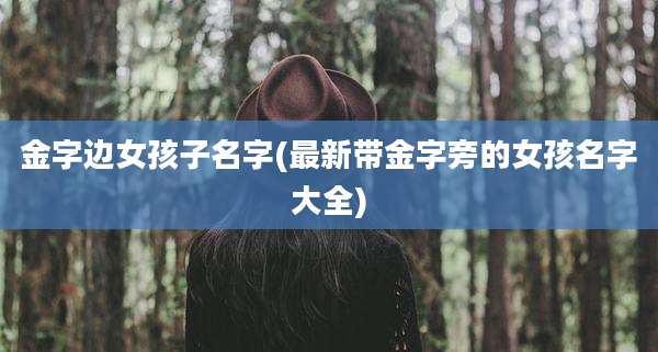 金字边女孩子名字(最新带金字旁的女孩名字大全)