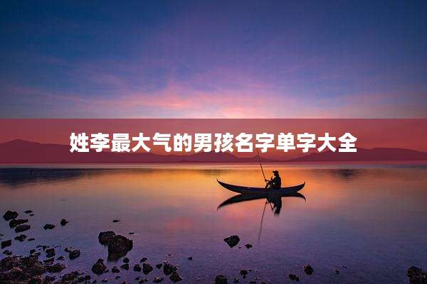 姓李最大气的男孩名字单字大全