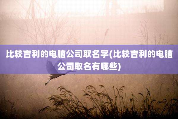 比较吉利的电脑公司取名字(比较吉利的电脑公司取名有哪些)