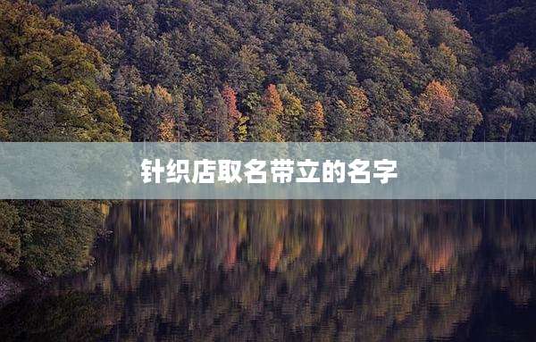 针织店取名带立的名字