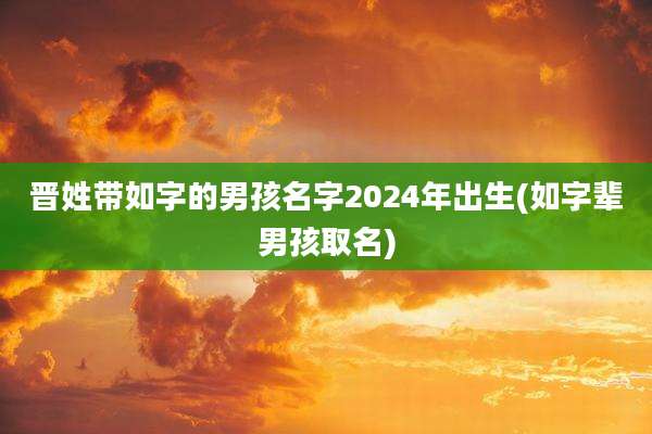 晋姓带如字的男孩名字2024年出生(如字辈男孩取名)