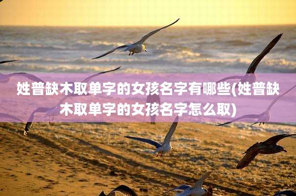 姓普缺木取单字的女孩名字有哪些(姓普缺木取单字的女孩名字怎么取)