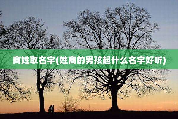 商姓取名字(姓商的男孩起什么名字好听)