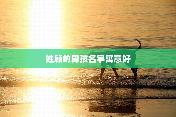 姓顾的男孩名字寓意好