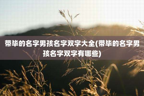 带毕的名字男孩名字双字大全(带毕的名字男孩名字双字有哪些)