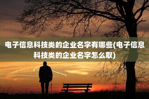 电子信息科技类的企业名字有哪些(电子信息科技类的企业名字怎么取)