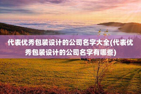 代表优秀包装设计的公司名字大全(代表优秀包装设计的公司名字有哪些)