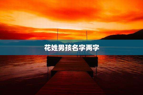 花姓男孩名字两字