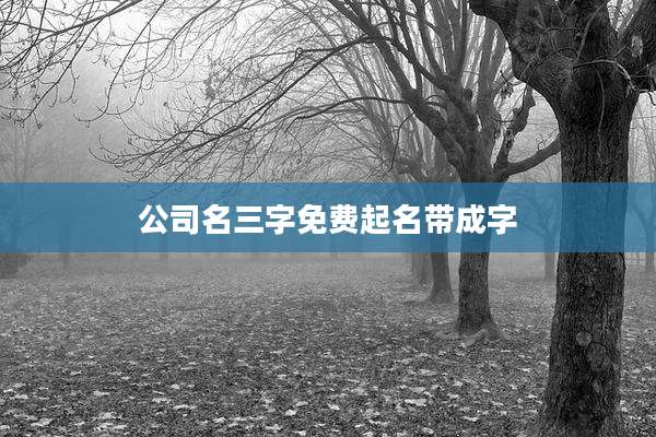 公司名三字免费起名带成字