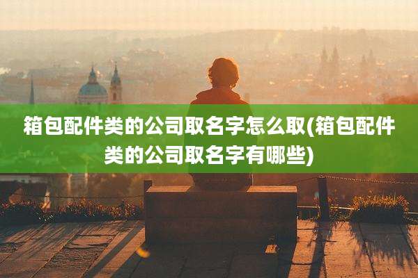 箱包配件类的公司取名字怎么取(箱包配件类的公司取名字有哪些)
