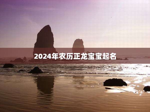 2024年农历正龙宝宝起名
