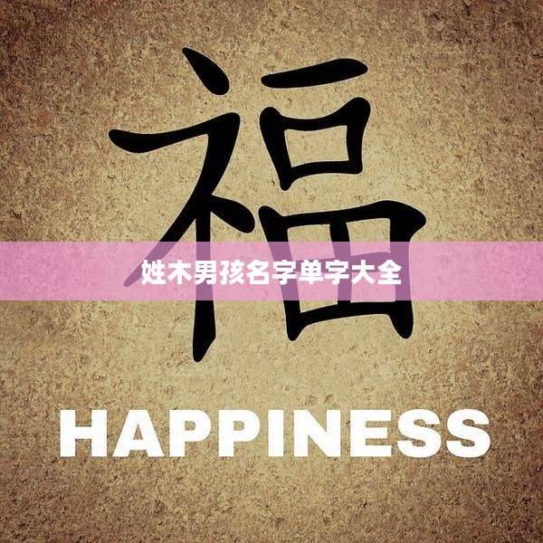 姓木男孩名字单字大全