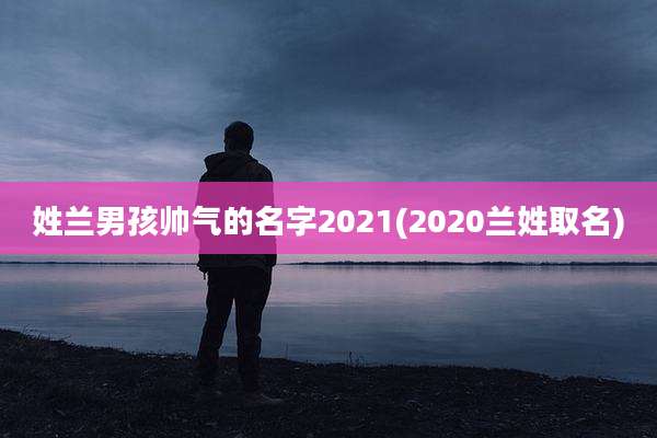 姓兰男孩帅气的名字2021(2020兰姓取名)
