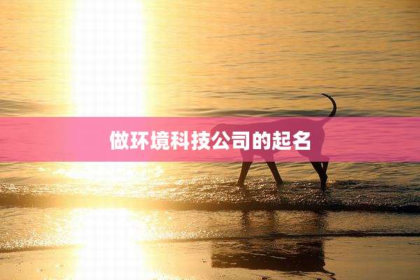 做环境科技公司的起名