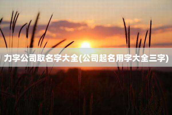 力字公司取名字大全(公司起名用字大全三字)