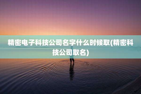 精密电子科技公司名字什么时候取(精密科技公司取名)