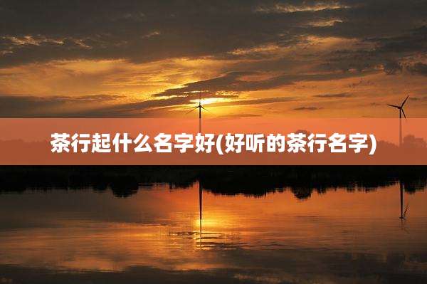 茶行起什么名字好(好听的茶行名字)